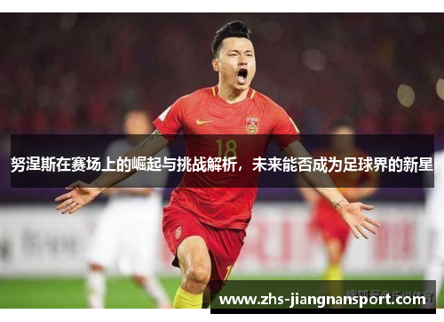 努涅斯在赛场上的崛起与挑战解析，未来能否成为足球界的新星